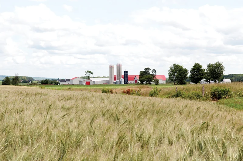 Discussions about the future of Canadian food production should address questions about whether Canada will be able to continue to feed the country though local farmers and processors, and retain family farms, says Ghislain Gervais, president of La Coop fédérée. Éric Labonté, MAPAQ