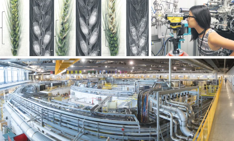 With investigations in many different areas of research, the Canadian Light Source is helping to solve a wide range of problems identified by the scientific community and industry. Supplied