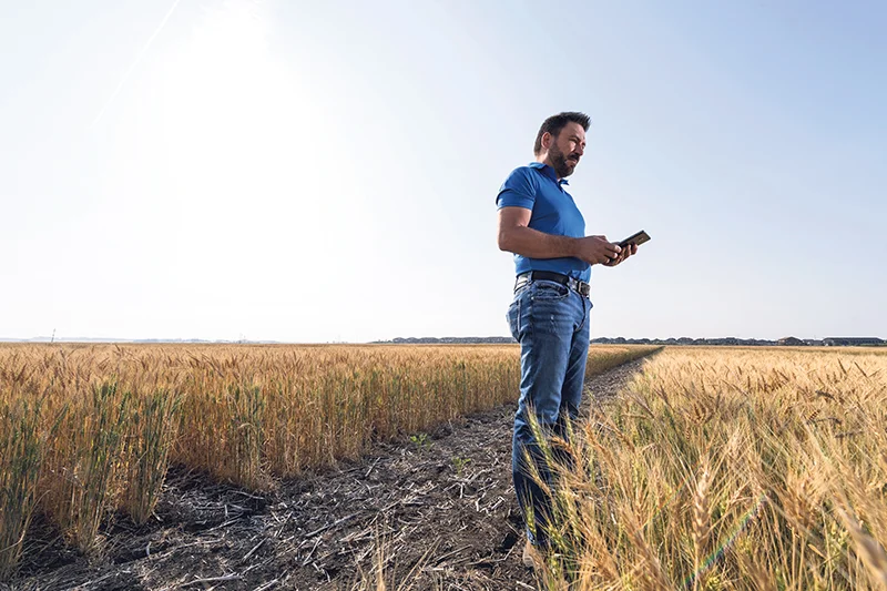 P1 Support Wheat 1 Curtis Pozniak in wheat field.jpg