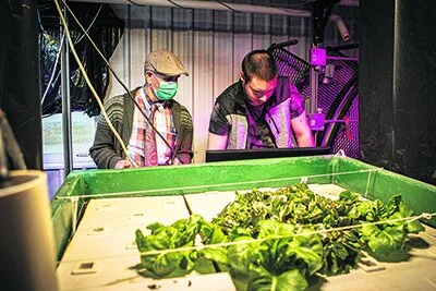 Applying knowledge and skills to real-world challenges