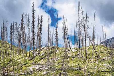 Tackling ‘one of the defining challenges of our time’ with multi-pronged solutions