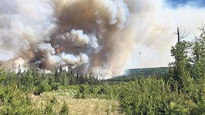 From wildfire research to real-world solutions