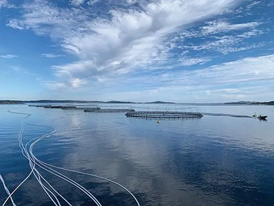 Canada-Norway: New momentum for a deepened partnership 