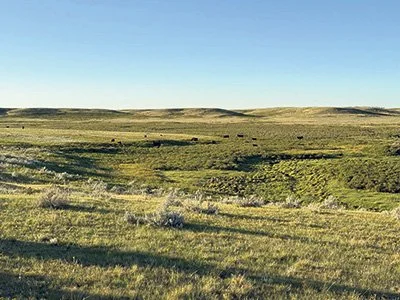 The prairie advantage
