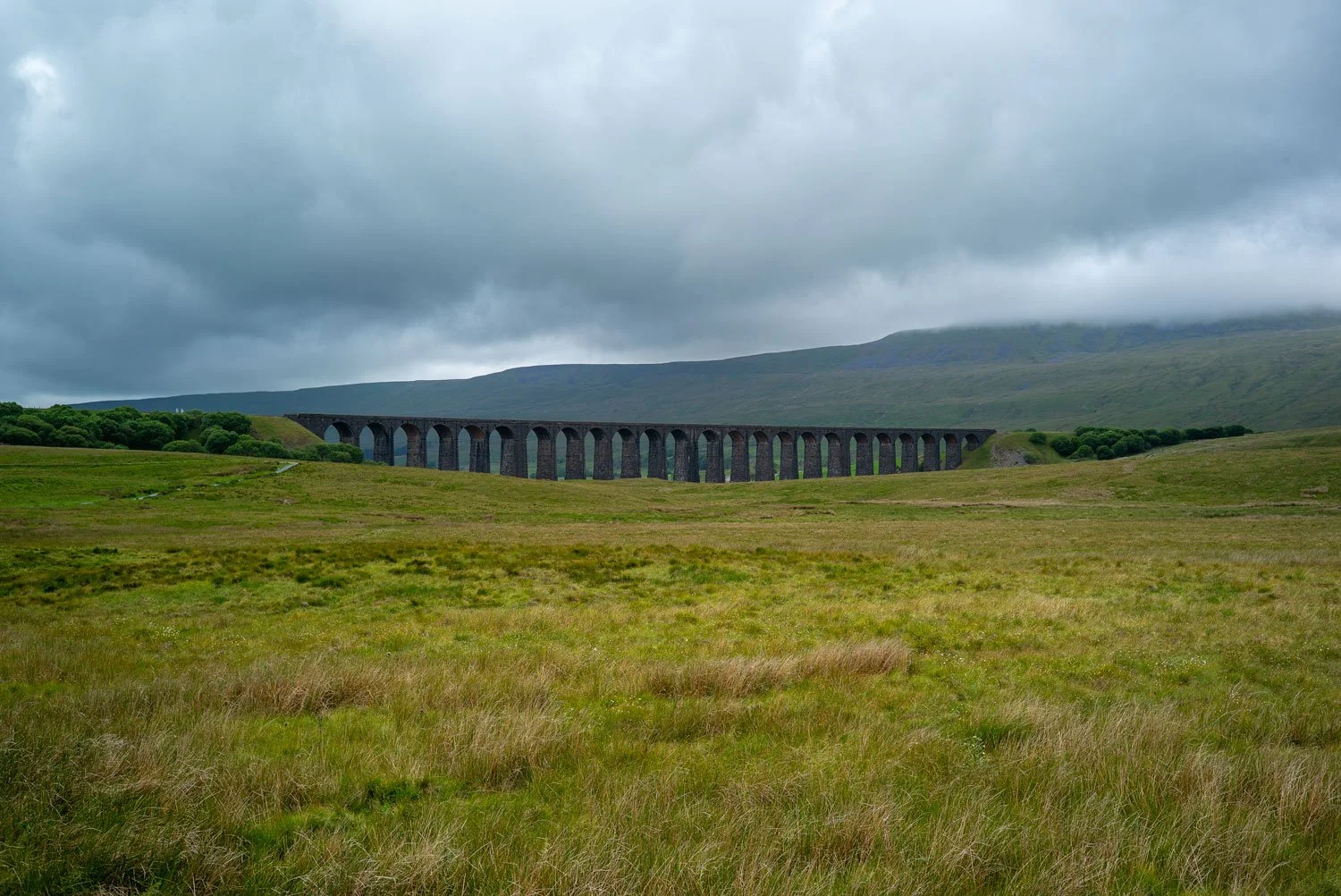 Yorkshire.jpg