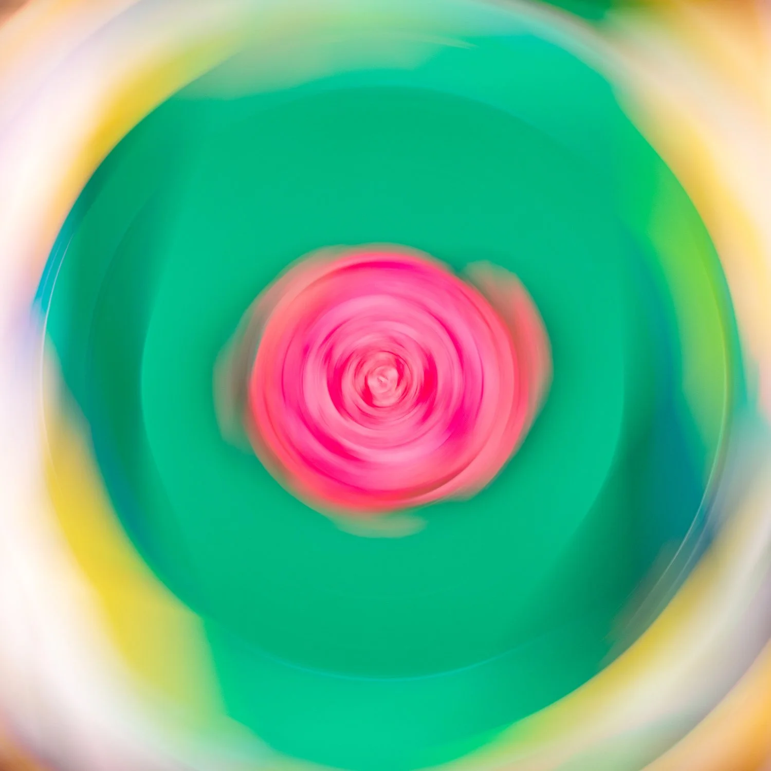 Flower12.jpg