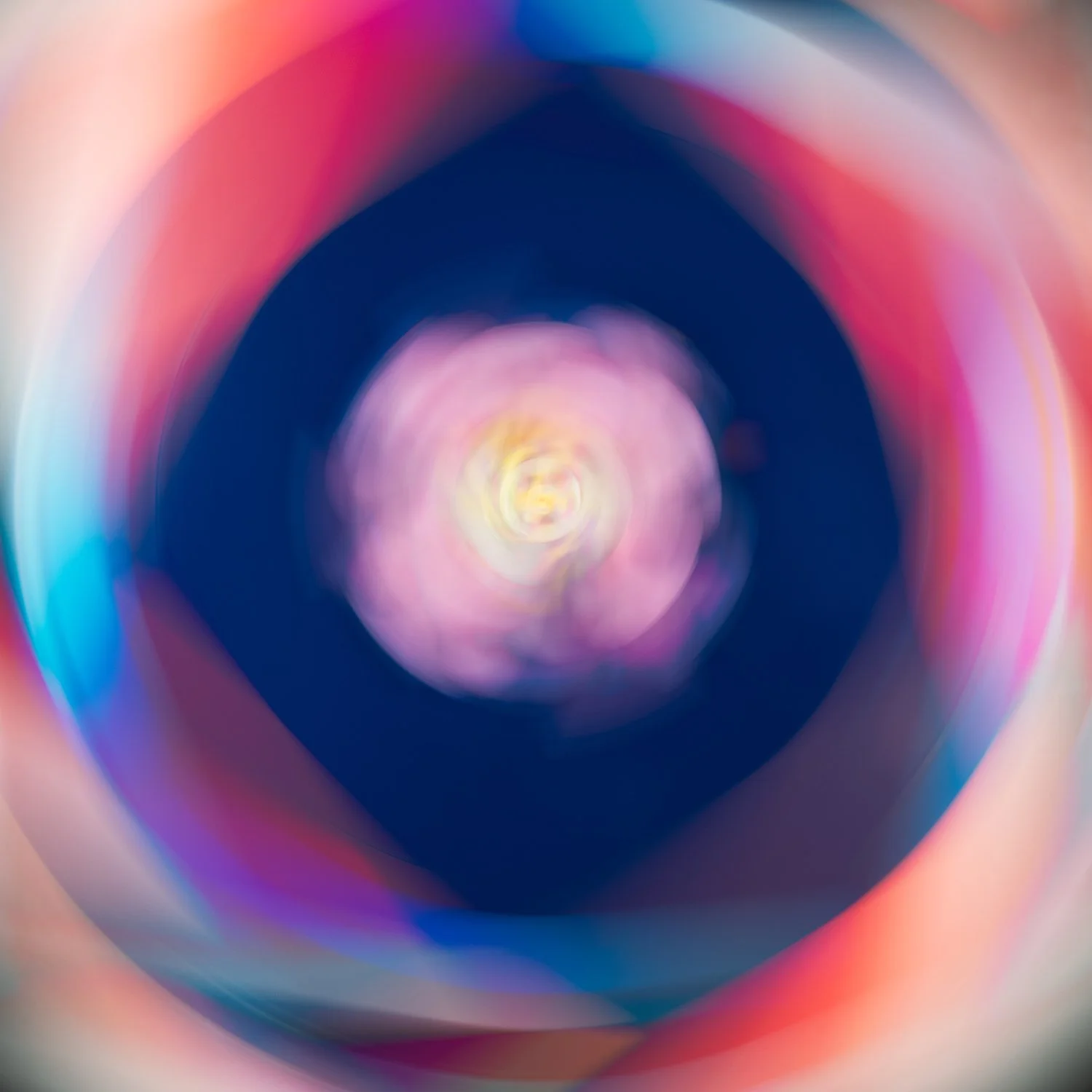 Flower-1-.jpg