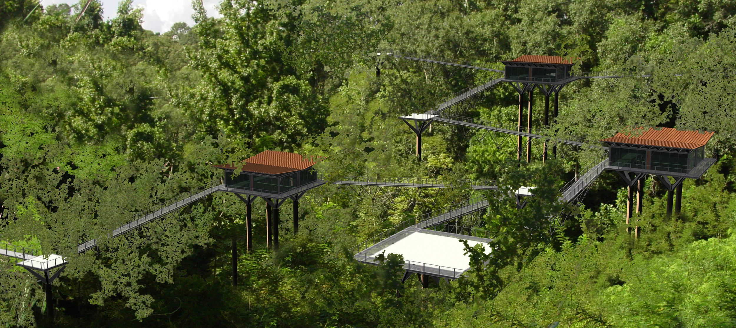Tunica Hills State Preservation Area in West Feliciana
