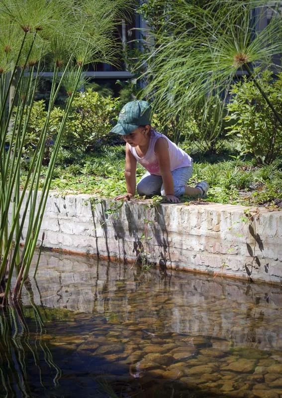 Shangri La Botanical Gardens and Nature Center in Orange, Texas