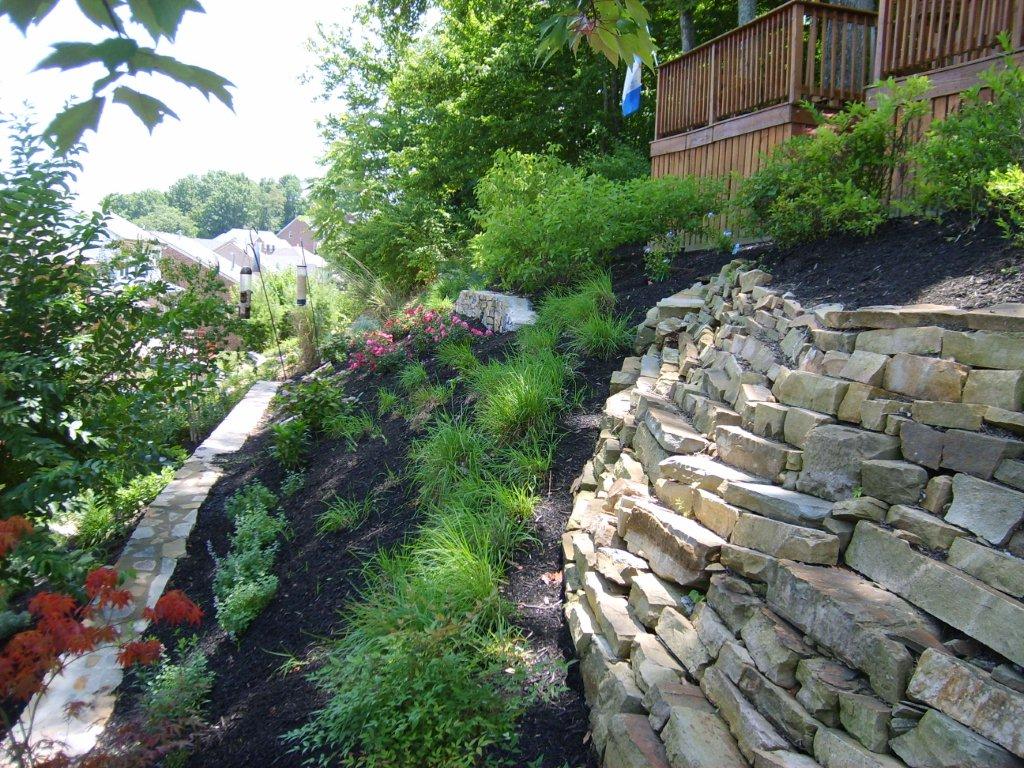 close up of stone wall and planting.jpg