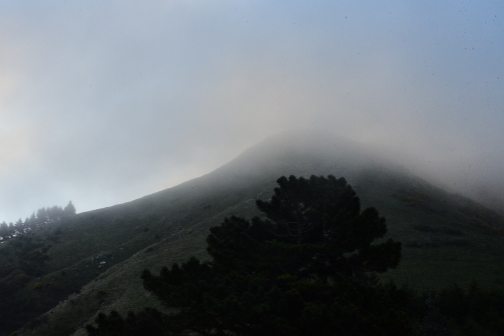 DSC_2195.jpg