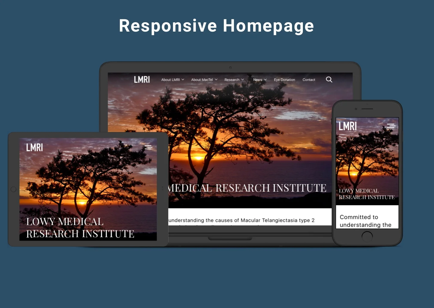 3 up homepage.jpg