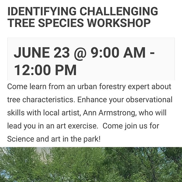 June 23rd in Pease Park: come explore the intricacies of local oaks and other challenging tree species with us and @treefolks . We&rsquo;ll use watercolor as a medium for documentation and as an observational tool. No experience necessary. *&rdquo;Ch
