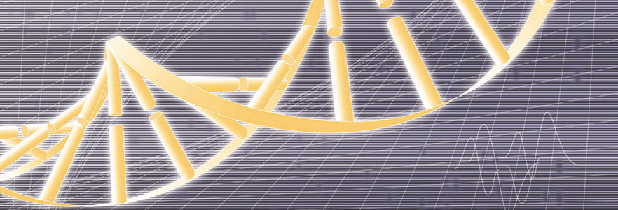 Software and engineers must evolve together