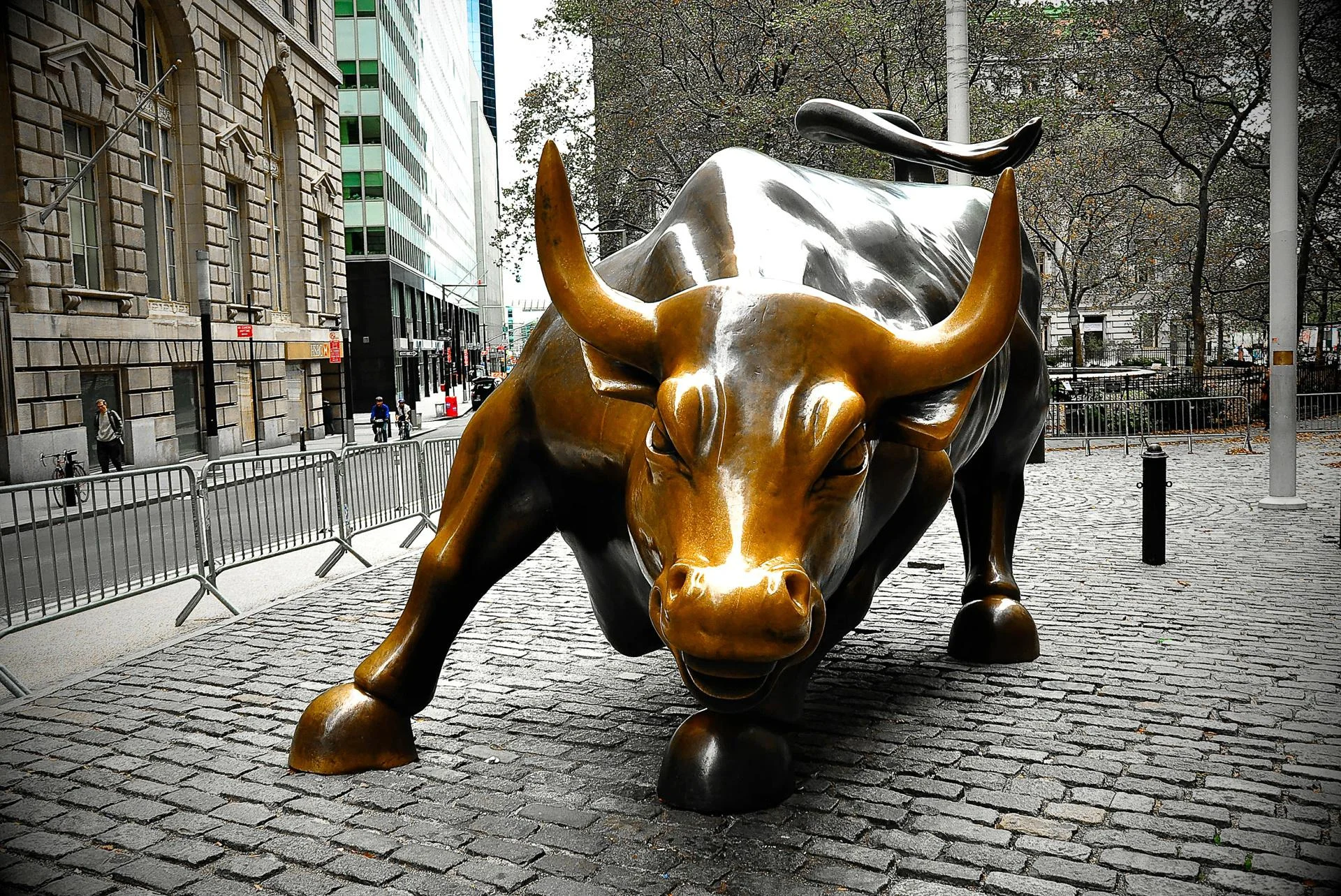 Survey finds industry execs bullish on 2015