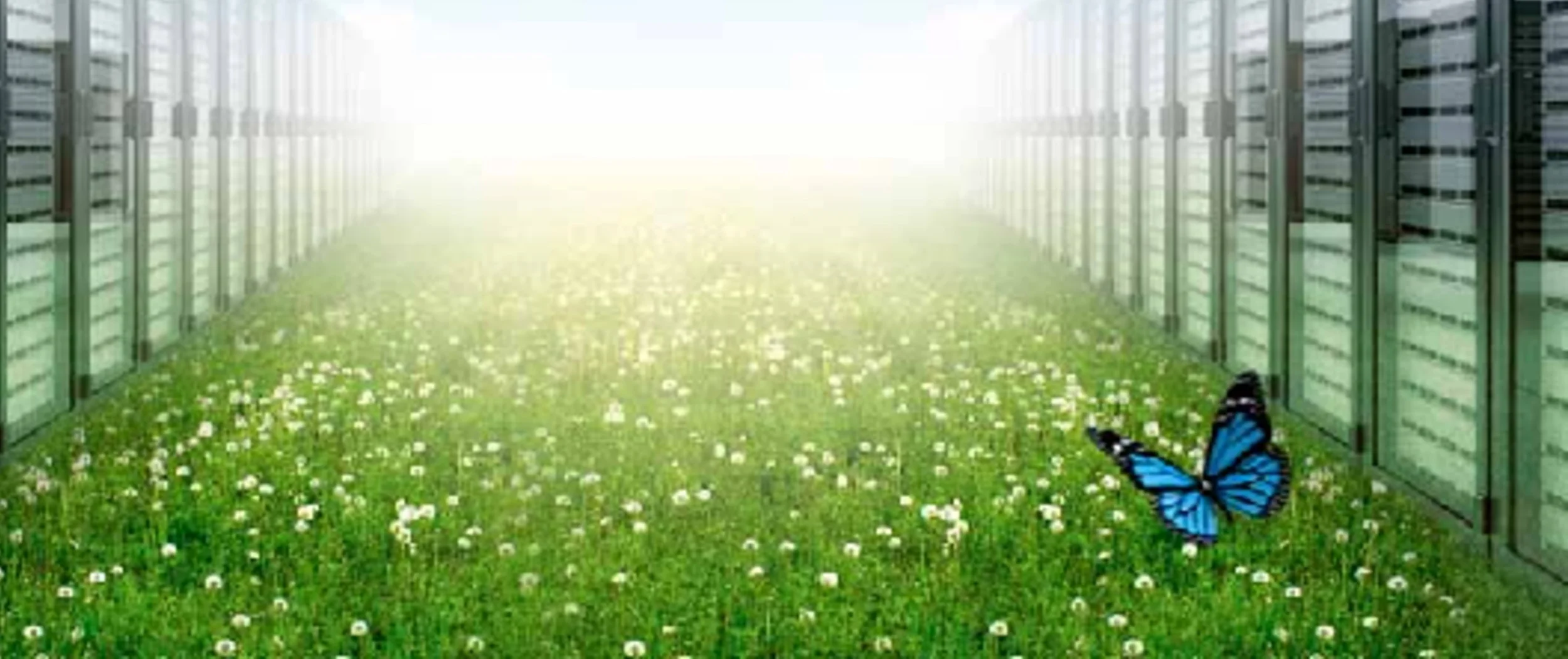 TOXIC! Our 7 most useful materials certification, disclosure systems