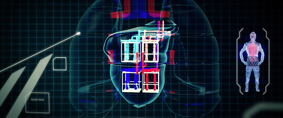 Virtual body building yields data set for all