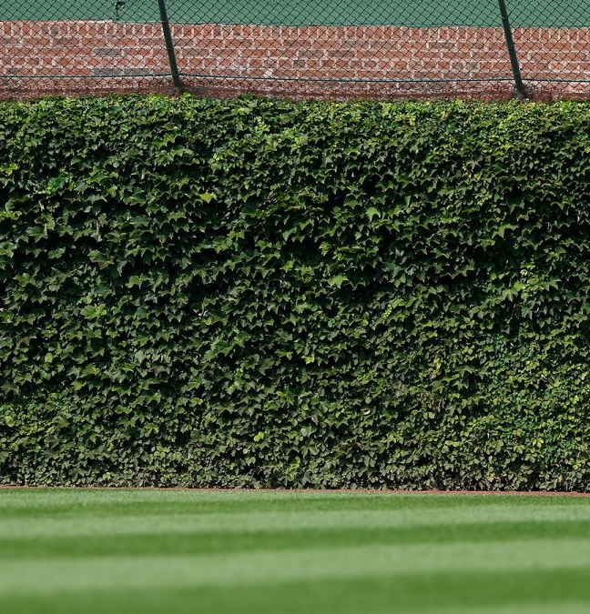 Holy Cow! Drone eyes Wrigley rehab as season nears
