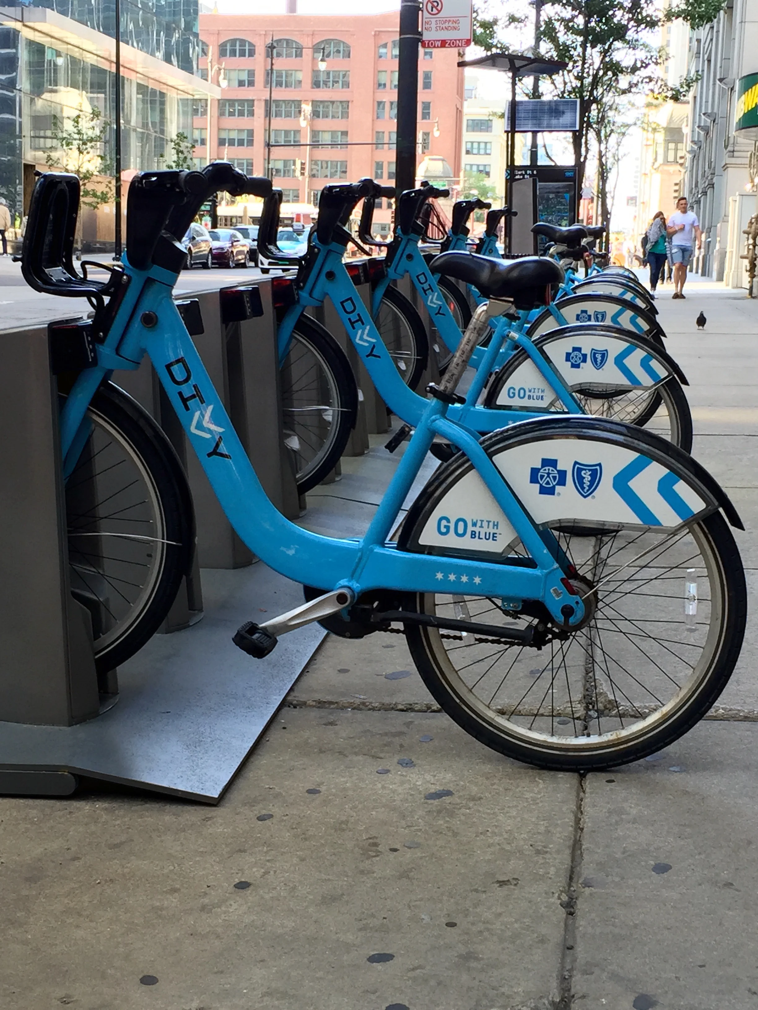 BW Sessions: Divvy's Big Adventure