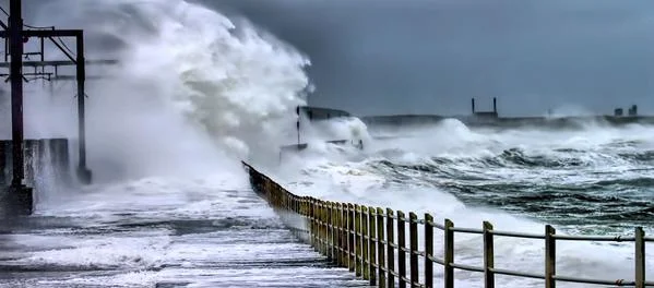 On the waterfront: Resilient linkages may hold the key