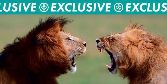 Dodge Data, isqft square off in federal antitrust suit 