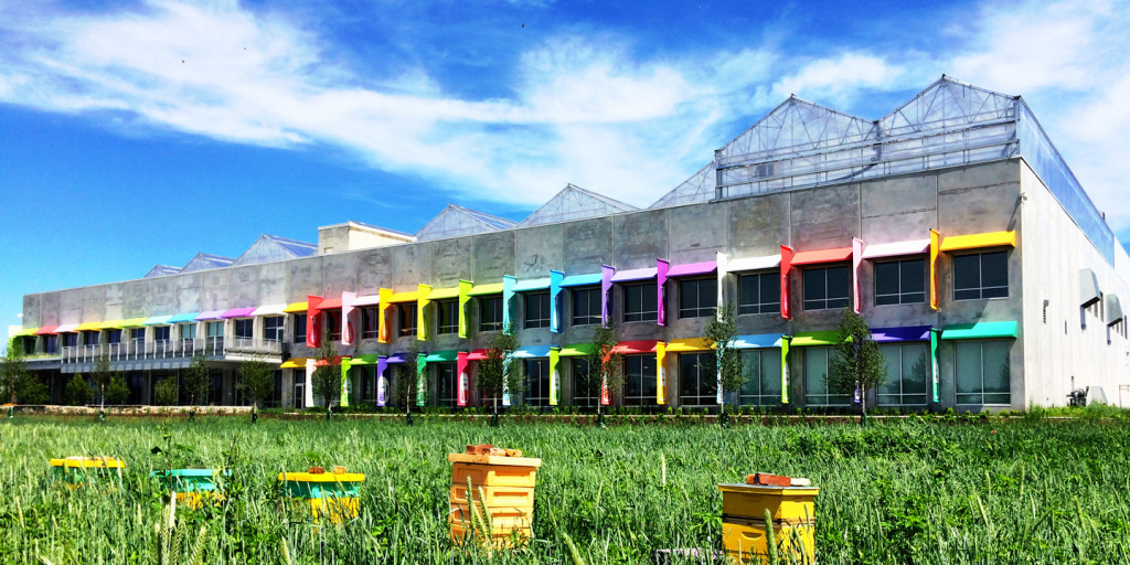 Method's madness sustainably clean, green and local