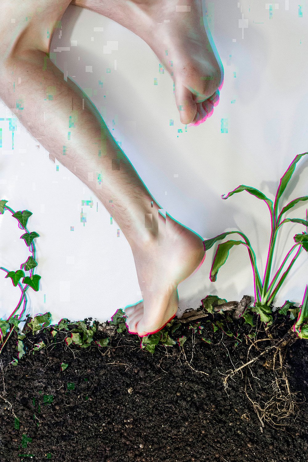 florianlevy_2.0-Roots.jpg