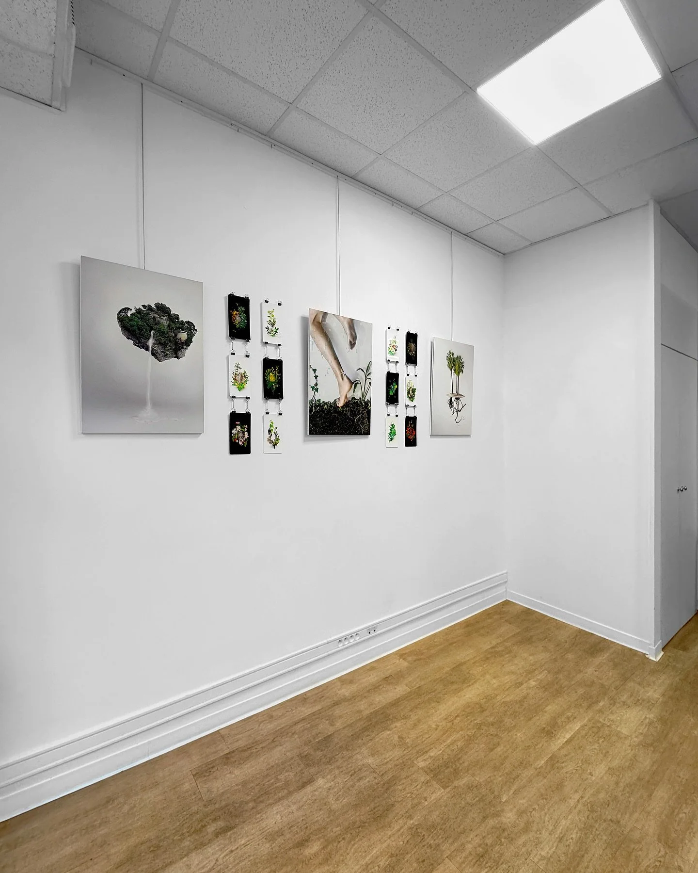 Retour en image sur le vernissage de l’exposition. Merci à tous les présents 😽 Les absents, rendez vous tout l’été au 9 rue Offenbach à Nice. Du lundi au vendredi 9h30 à 12h et 14h à 17h.