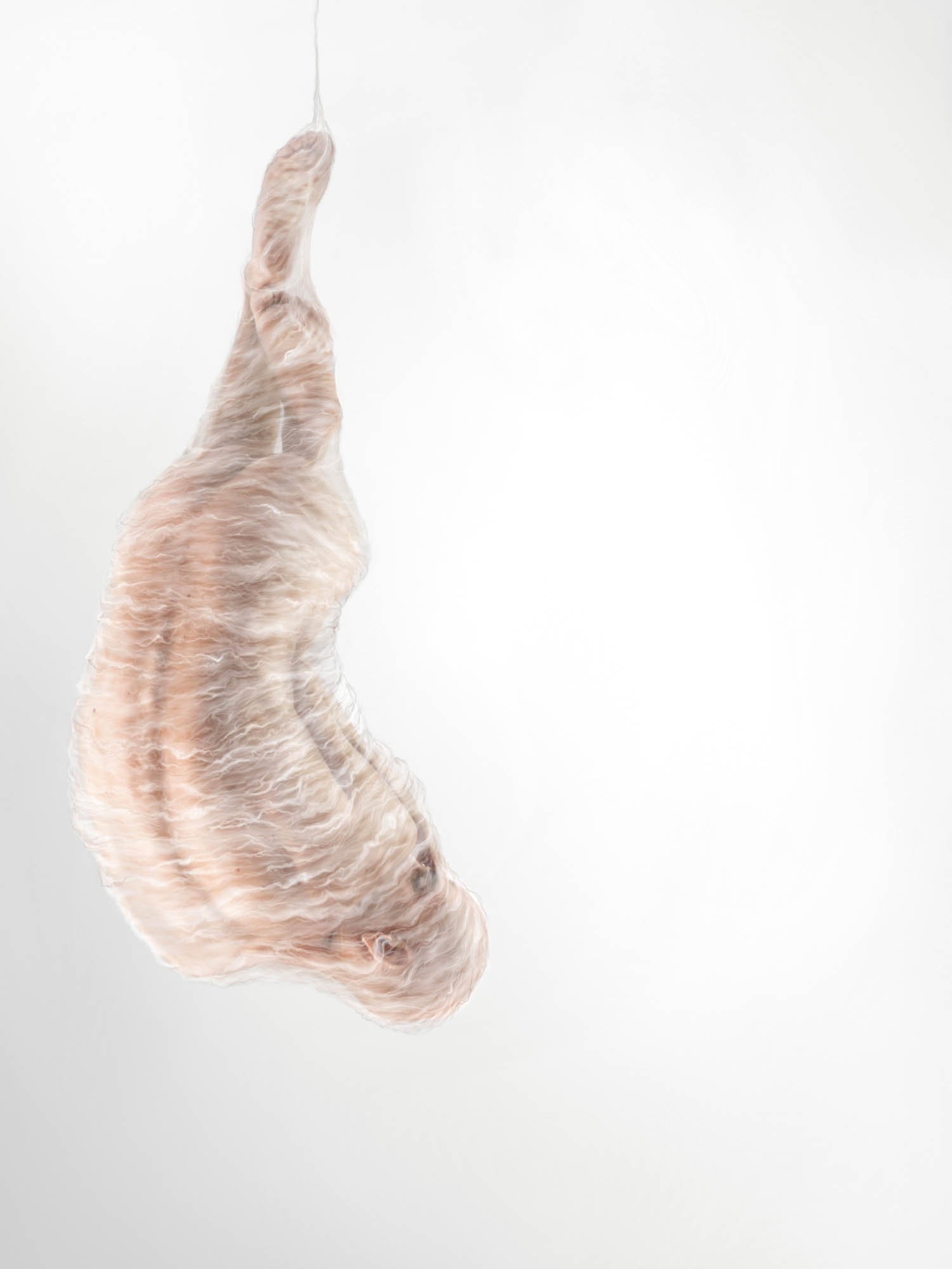 florianlevy_introspection_cocoon.jpg