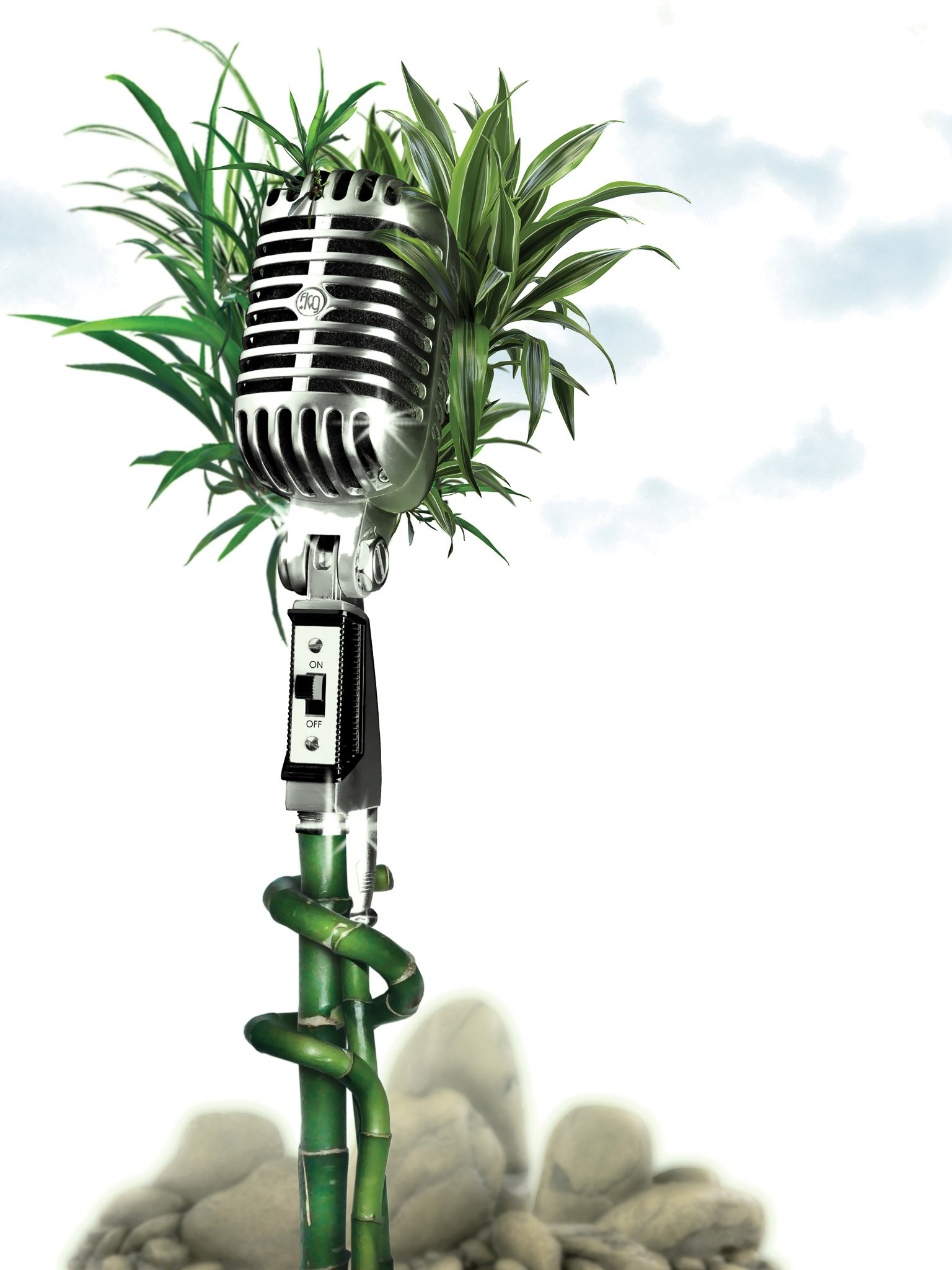microphone_BD.jpg