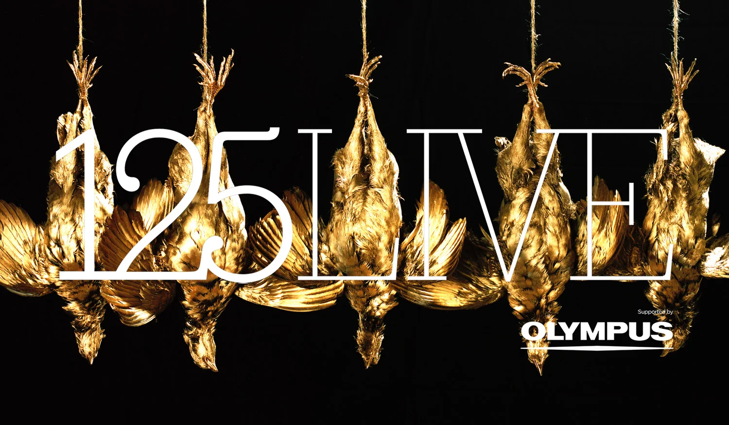125LIVE_banner_NEW_30.jpg