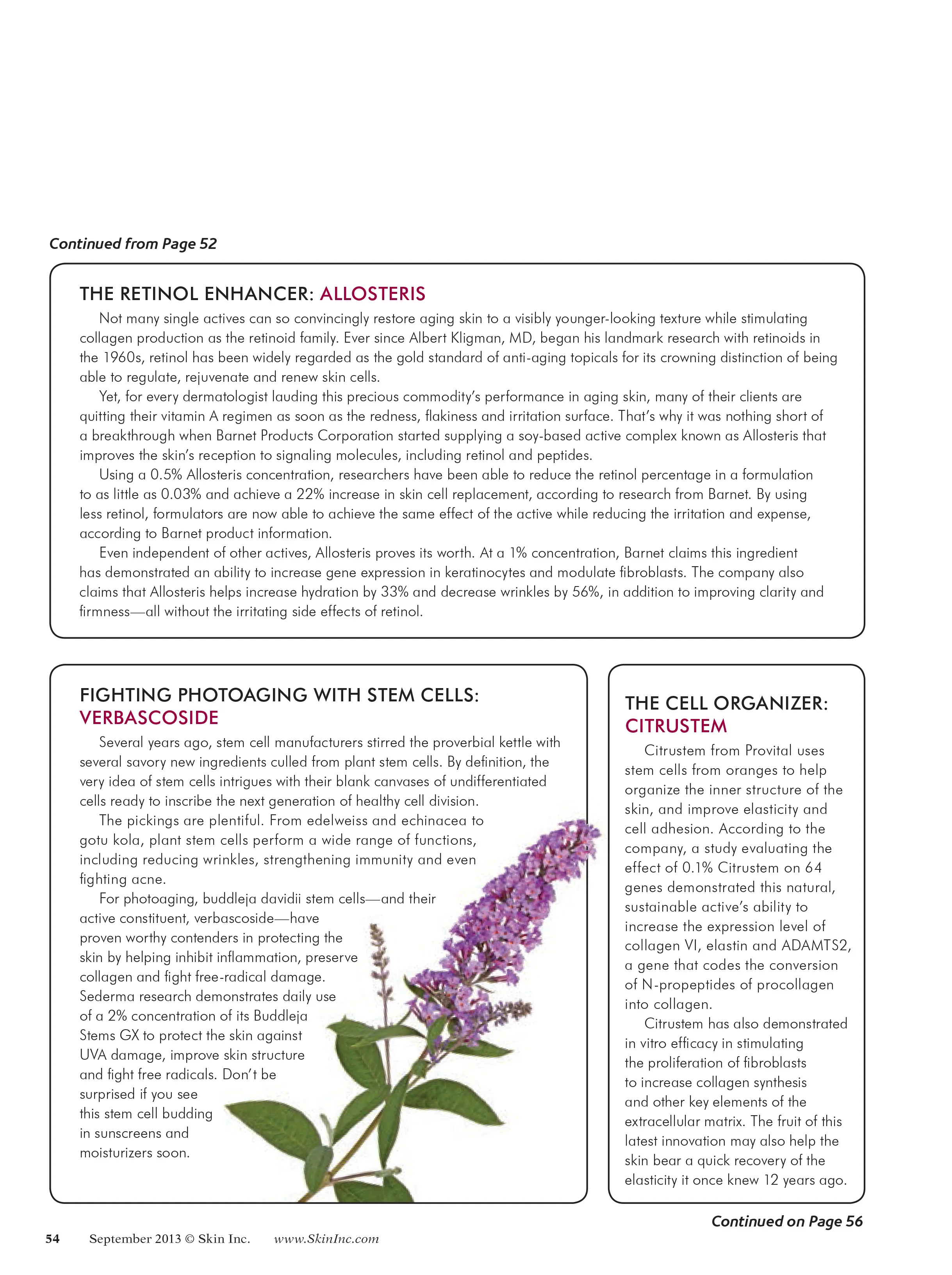 13_SI1309_Ingredients_Dhatt-2.jpg