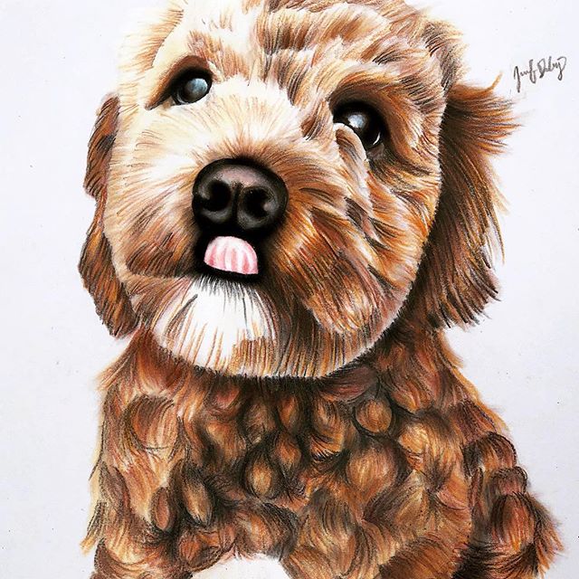 😛😛😛
.
.
.
 #illustration #prismacolor #dogsofinstagram #dogdrawing