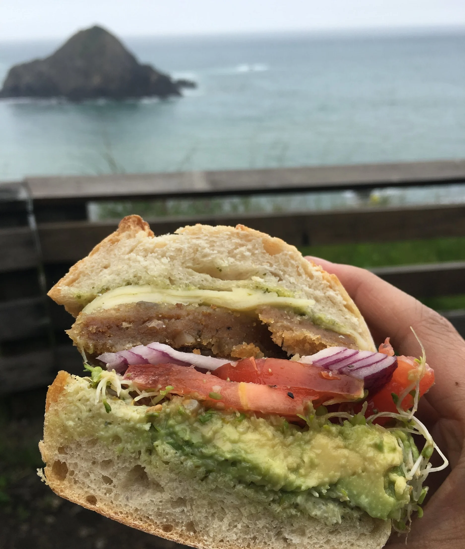 An Albion sandwich from The Elk Store.