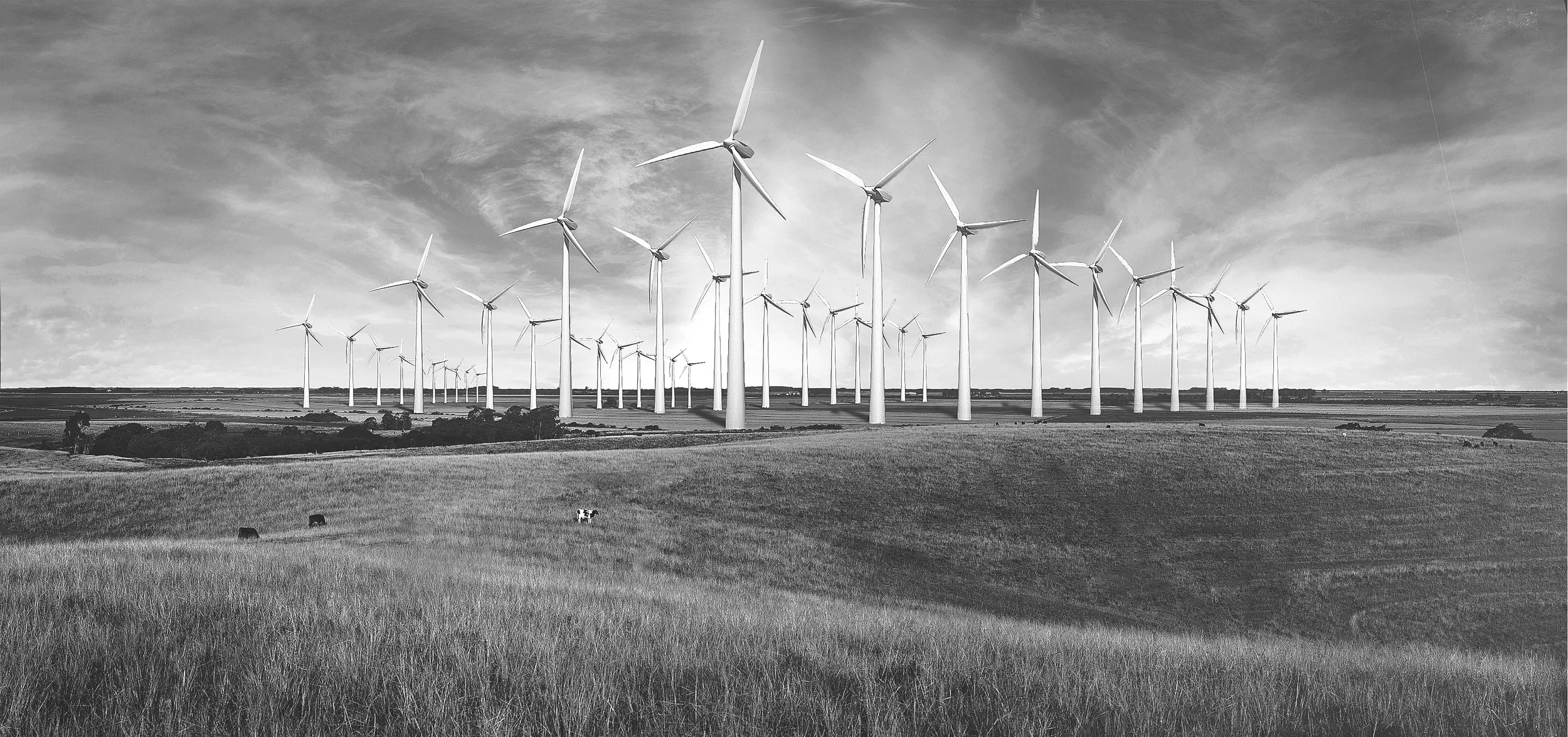 Fazenda Cap∆o Alto_pb.jpg