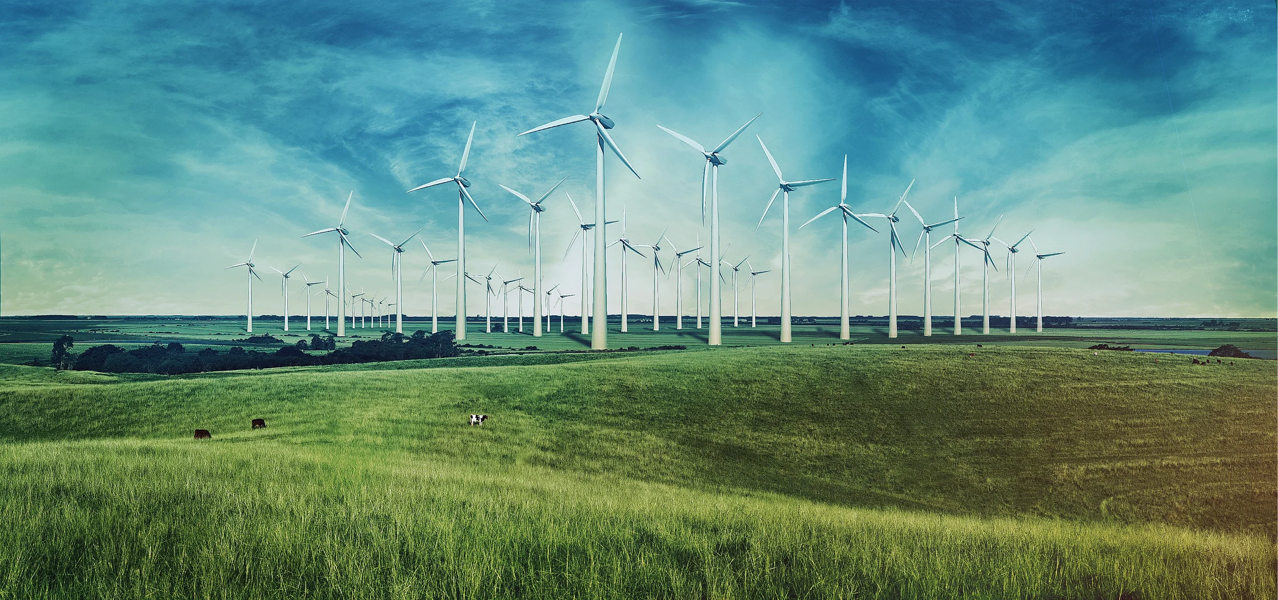   Uma empresa brasileira de geração de energia renovável    Saiba mais  