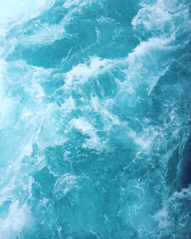 These colours and these shapes. I could stare into the rapids at Huka Falls for a day and a half. But then @babsihe reminded me subtly that we want to see more of this beautiful country that is New Zealand.
.
.
.
.
.
#hukafalls #water #waterfalls #ri