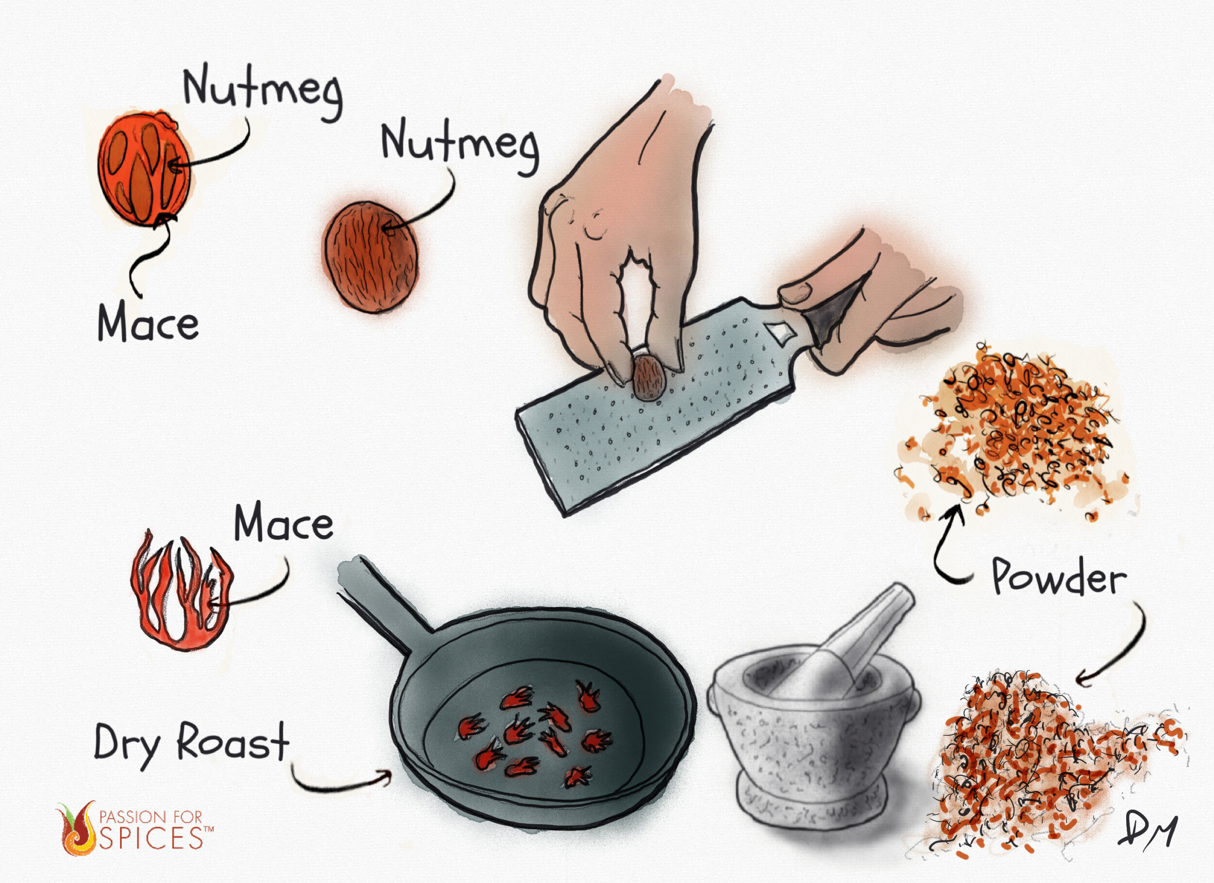Spice Up Your Pantry Nutmeg And Mace Passion For Spices Cooking 