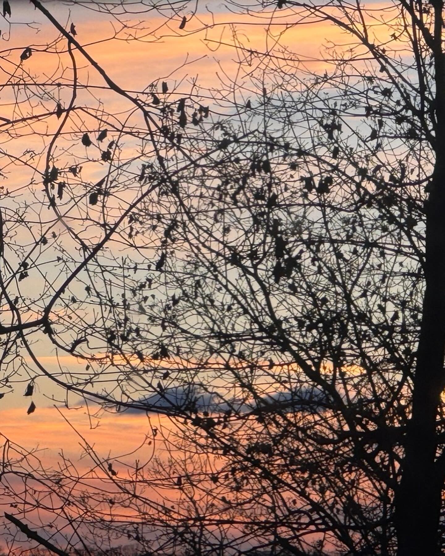 @passionforspices Gearing up with a busy week of work and community events. Hope all of you have a wonderful week ahead.