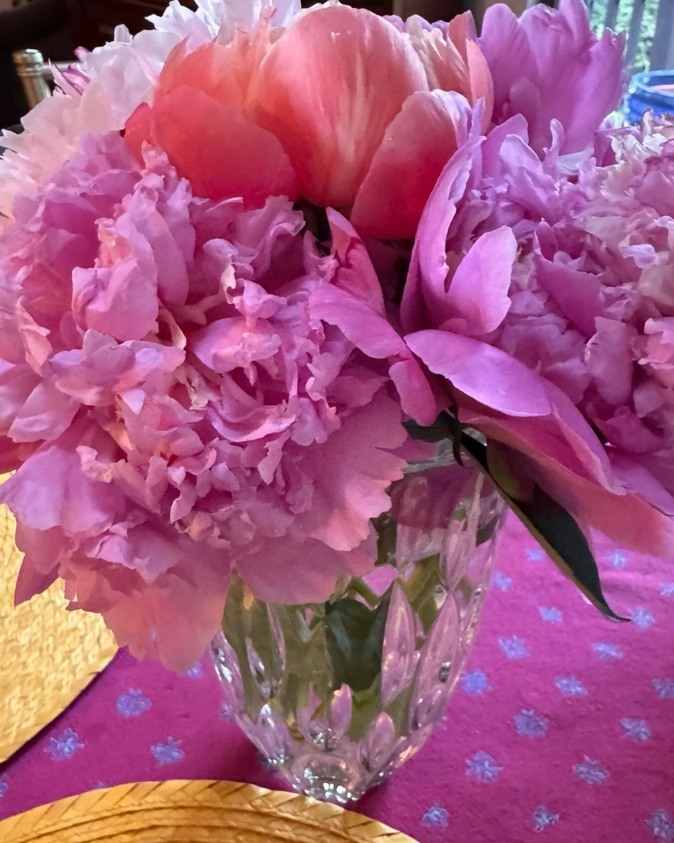 Peonies did well this year and so great to see the two new varieties blooming .