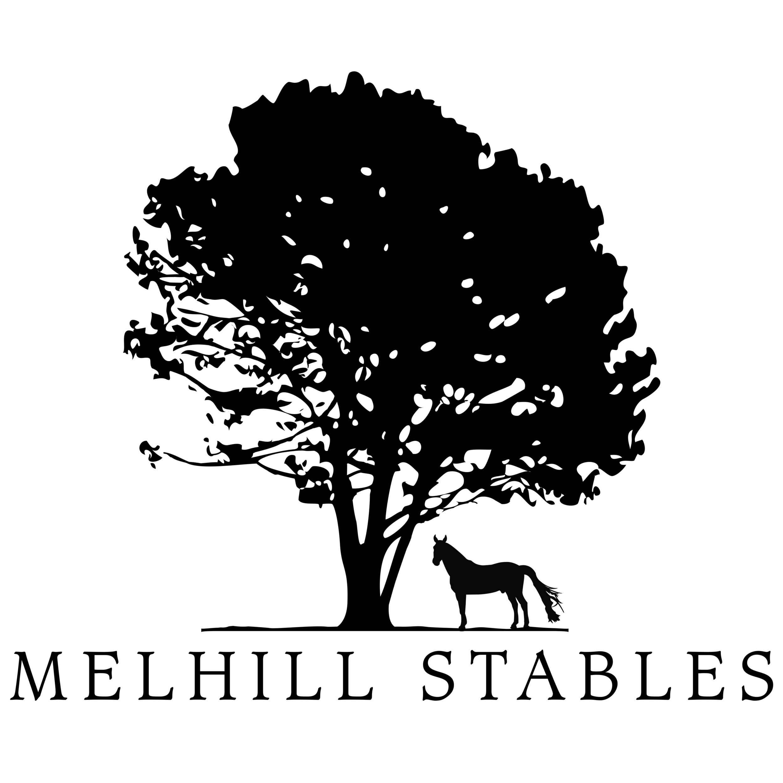 Mellhill_Logo_horse_oneLine-01.png