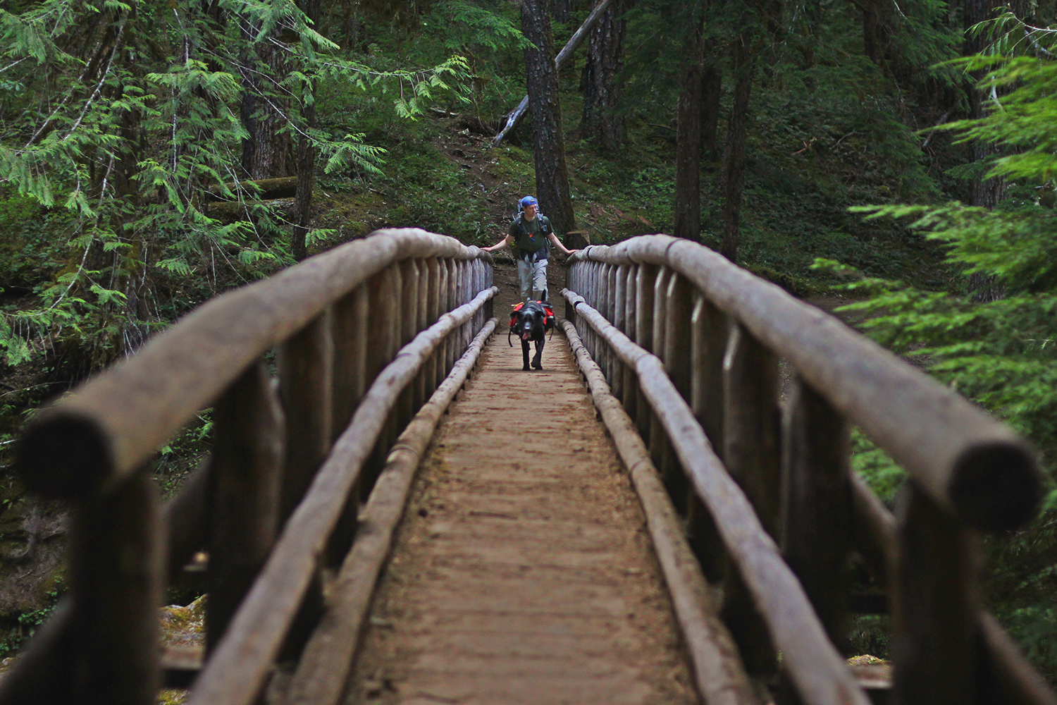hike_to_bagby_hot_springs.png