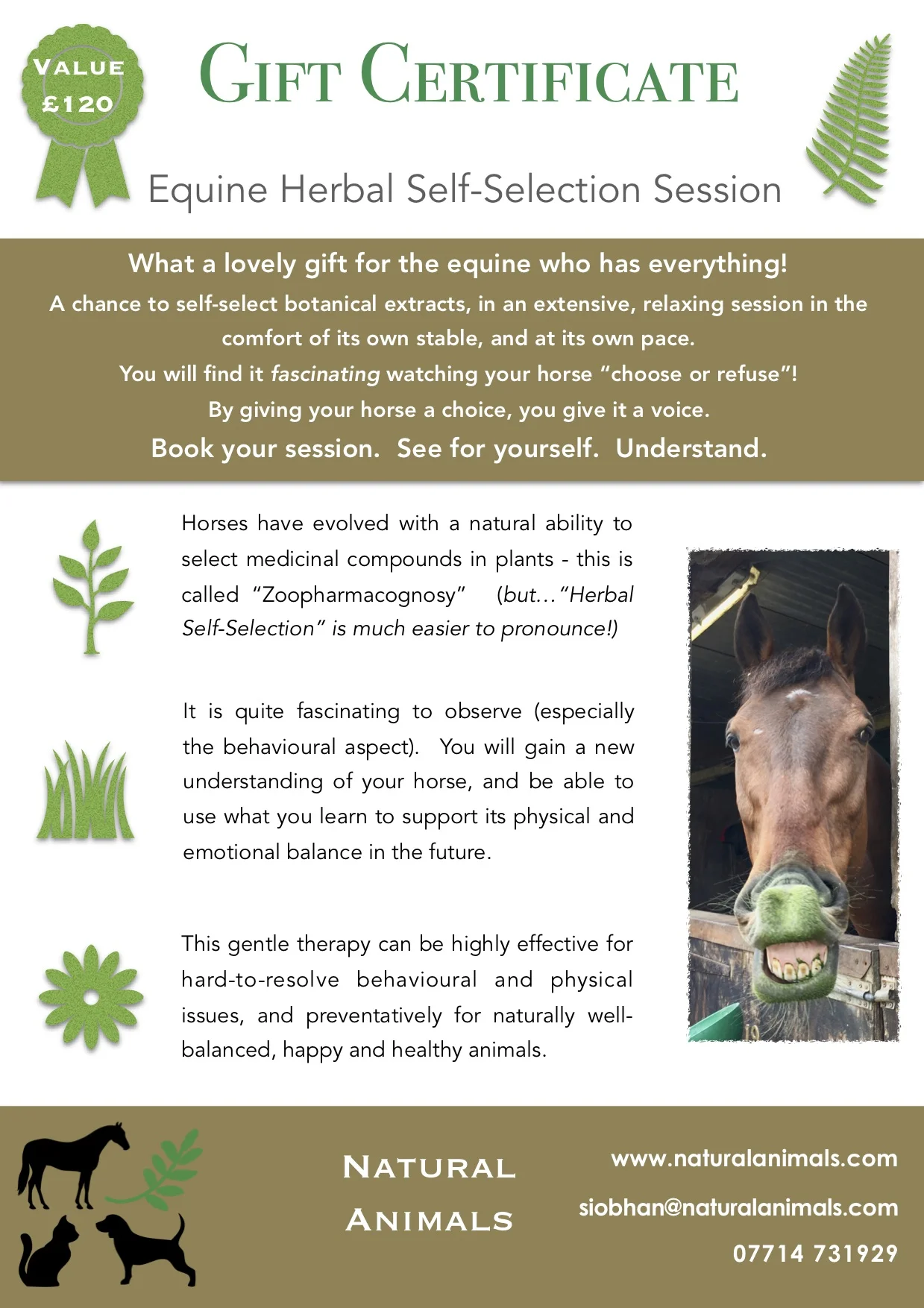 A5 NA Equine Gift Certificate.jpeg