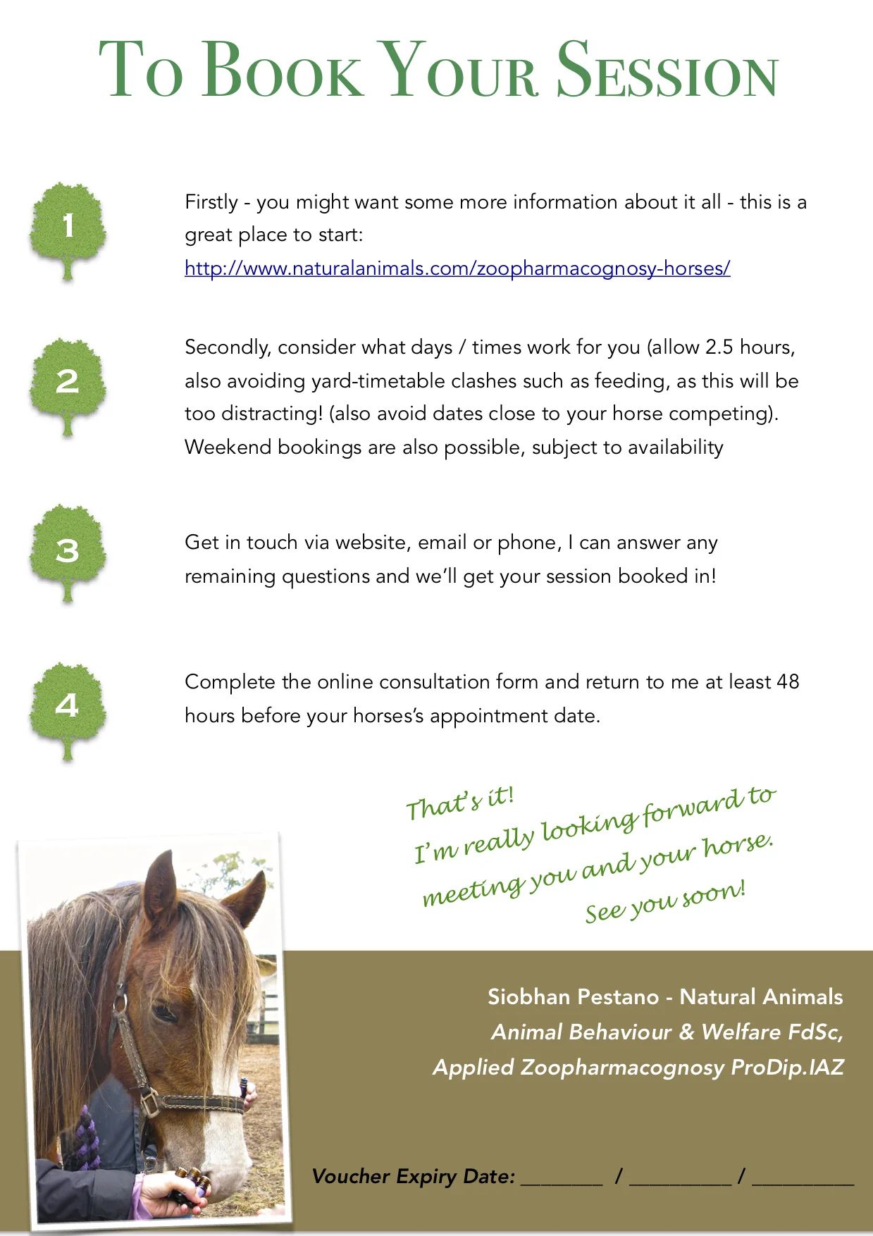 A5 NA Equine Gift Certificate P2.jpeg
