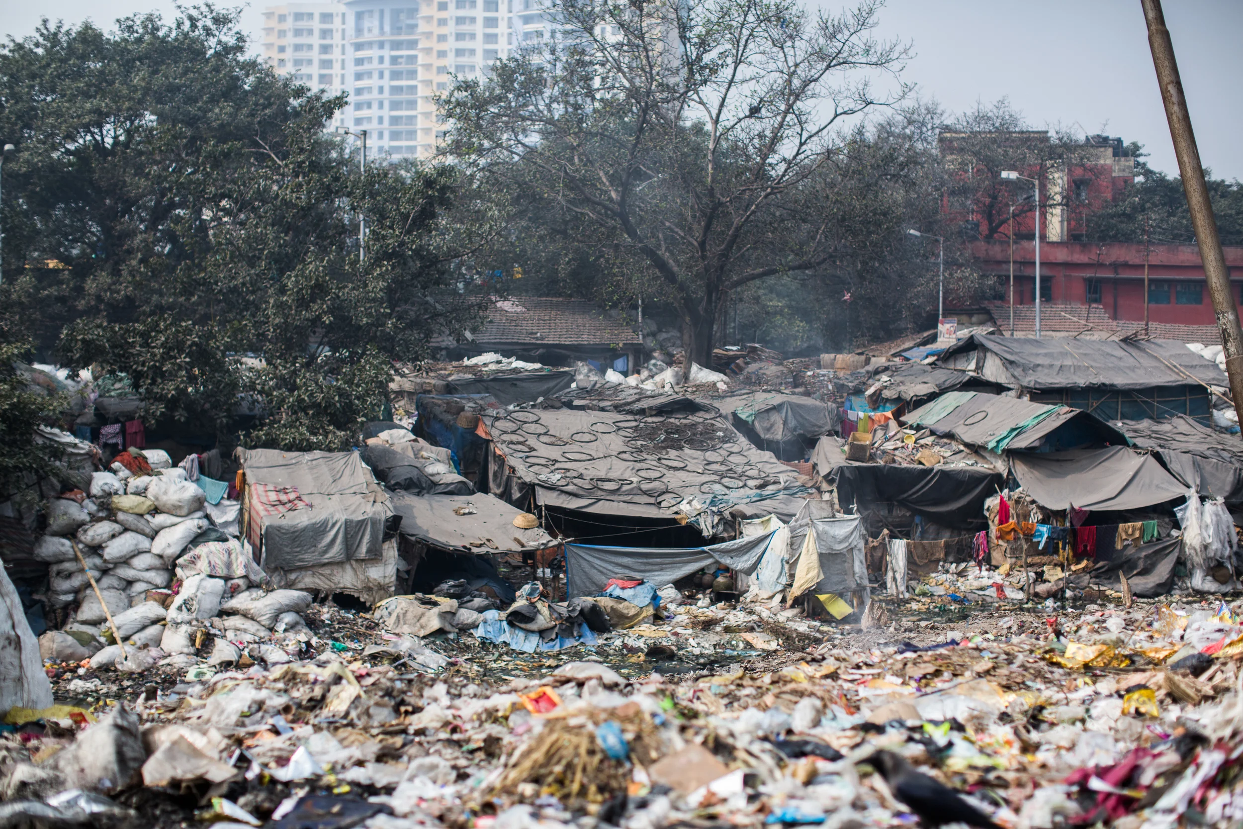 The trash heaps are empty of people. Today, the scraps are for the birds.