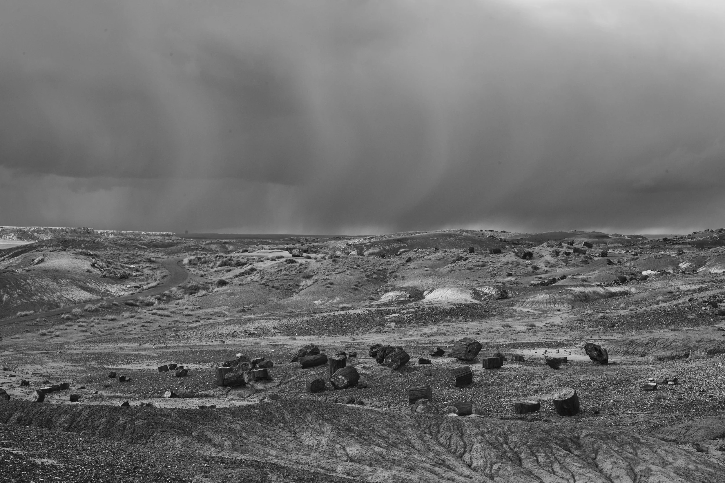Petrified Forest, Arizona