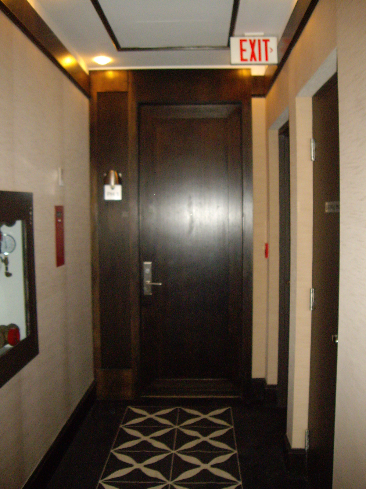 Existing Penthouse Corridor Carpet