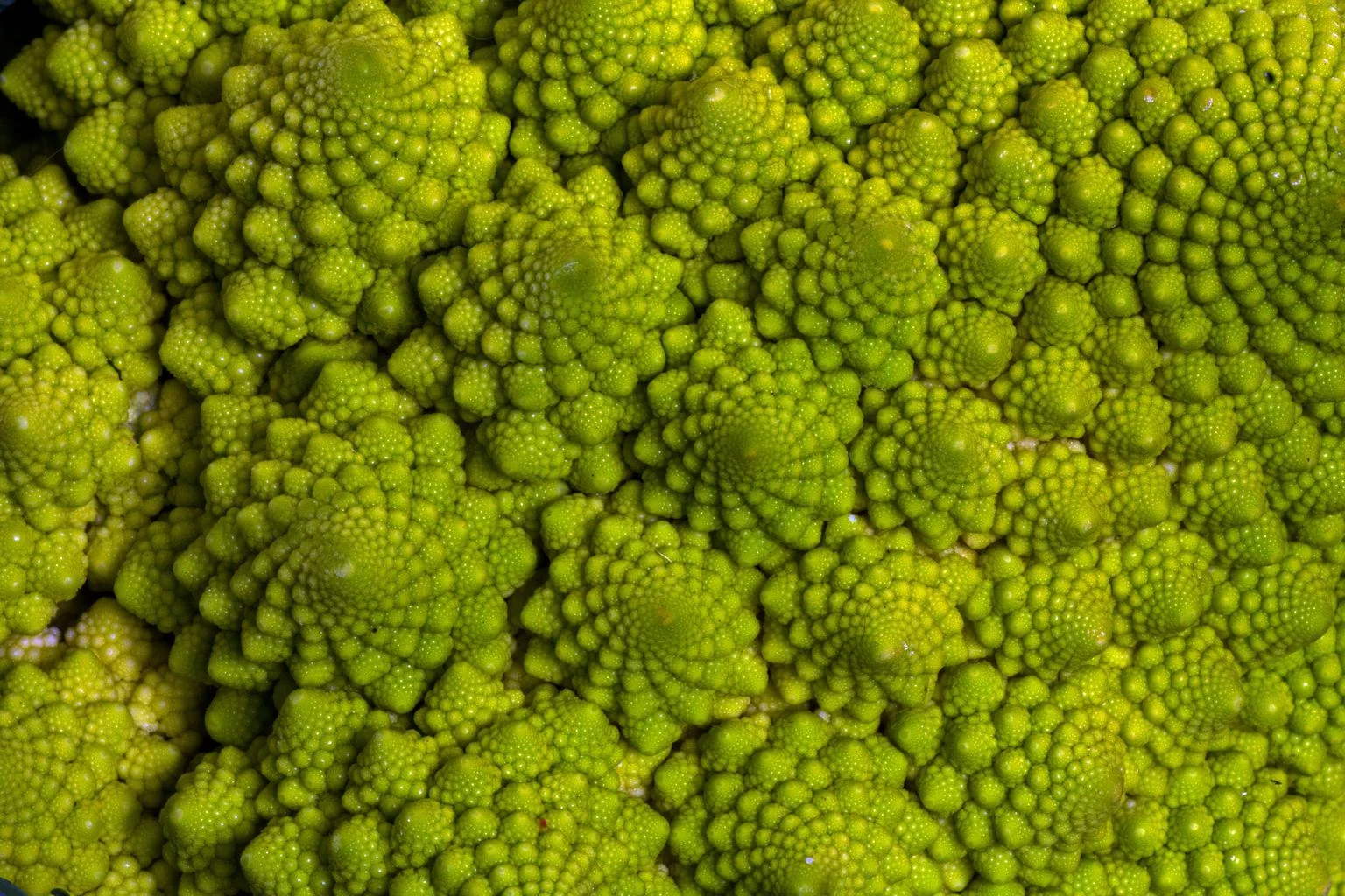 vegetables_macro_cauliflower_659404.jpg