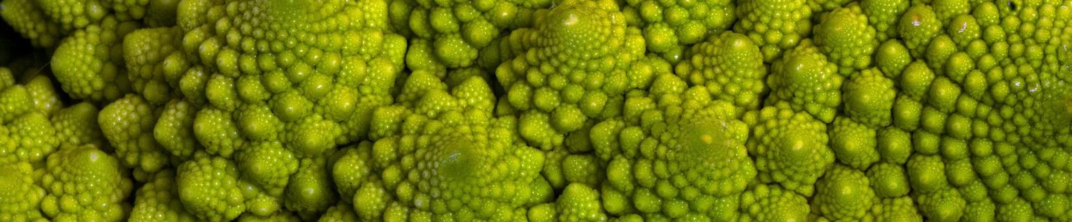 vegetables_macro_cauliflower_659404.jpg