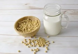 The Law and Politics of Plant-Based “Milk” Products